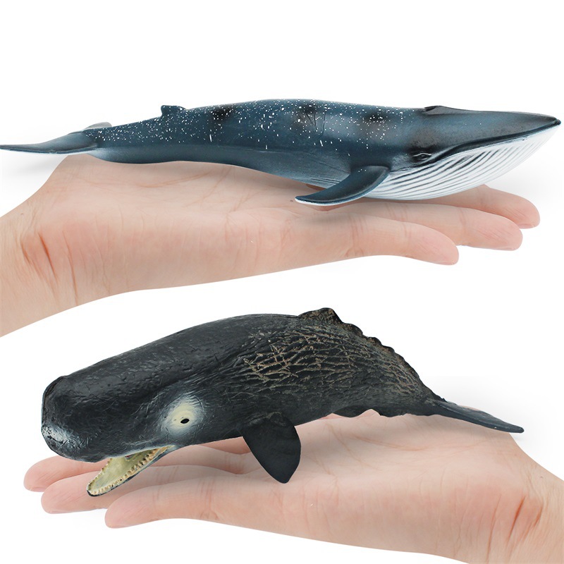 Simulación transfronteriza animal marino modelo de ballena Cognición de los niños criatura submarina cachalote Ballena Azul adornos estáticos