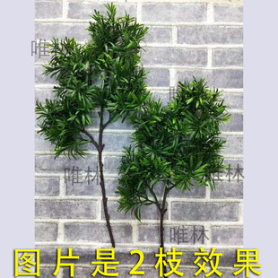ӭ���ɘ��~�_�hѩ���Rβ���̈��b��ɘ�����ʽ�����ɘ�֦�~