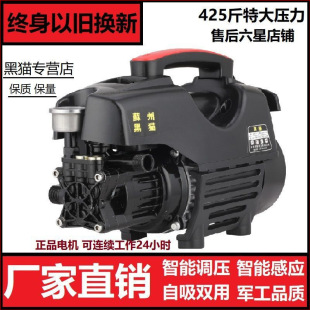 Black Cat Car Washing Machine Ultra-high Pressure 220V High-power Fully Automatic Car Brushing Water Pump Powerful Car Wash Water Gun Multi-function Pump