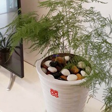 �Z��ʯԭʯ�~�׻���ʯ��ȻСʯ��ͥԺ�b@ˇ���ʯ�^䁵�