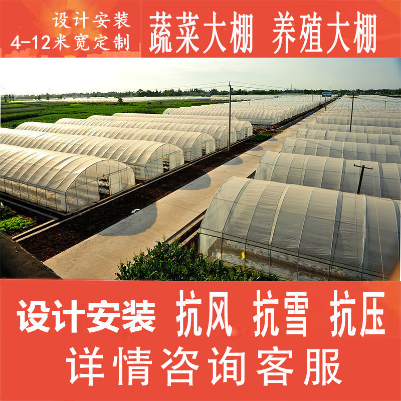 江苏大棚管厂家 温室大棚骨架 蔬菜大棚 养殖大棚 连栋大棚  单体