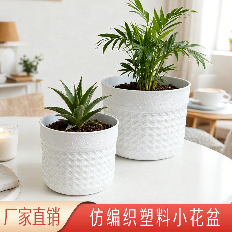 Pequeña maceta de plantas verdes delicada maceta de plantas domésticas no porosas maceta de plástico moderna mini maceta de escritorio