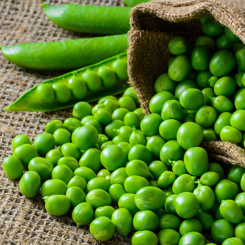 Carrot fresh green soya beans Quick-freeze green soya beans green soya beans fresh  Sugar snap peas Assorted peas Corn wholesale