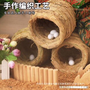 �u�C�C�J���u�����g�������µ����|�����Z�B���ӂ}�����