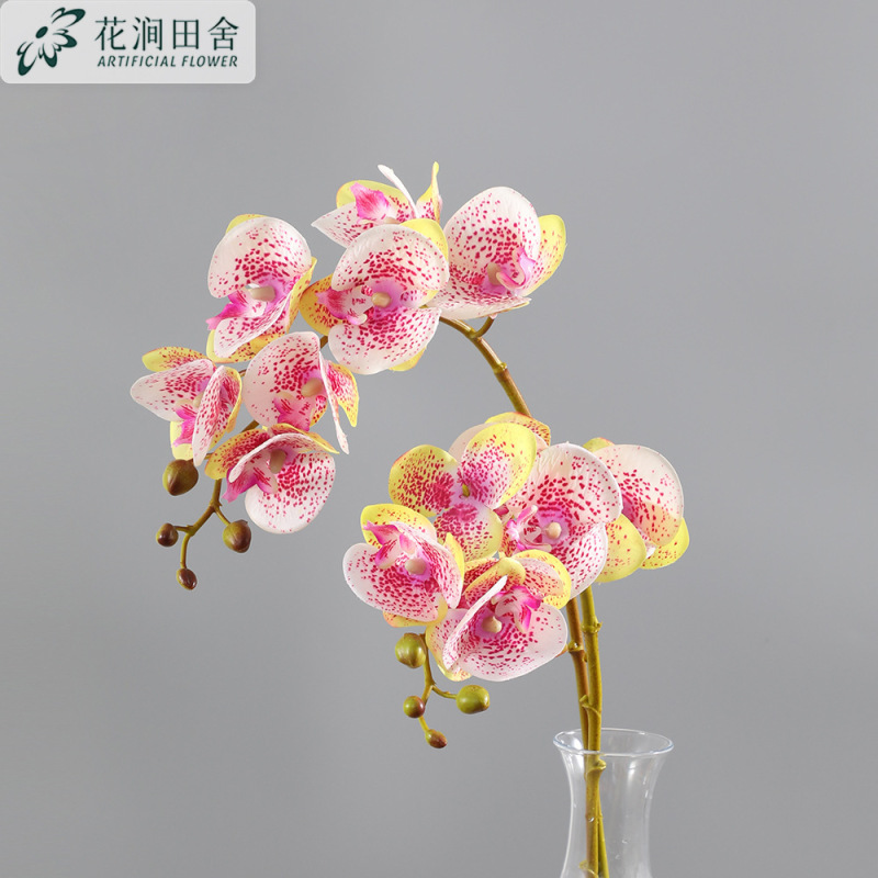 模擬花胡蝶蘭感触蘭単一枝ハイエンド造花感触ヨーロッパスタイルの家の装飾模擬植物|undefined