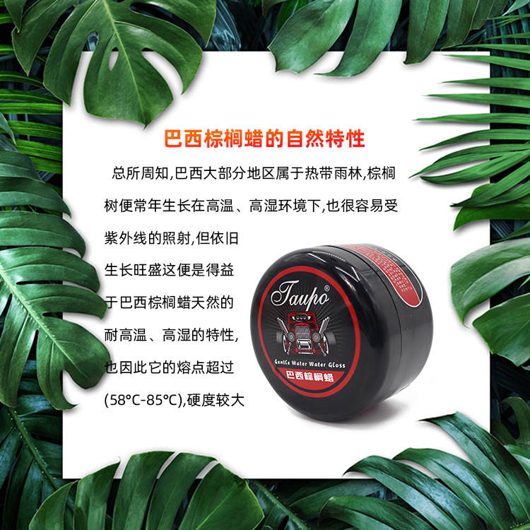 Car Wax Brazilian Carnauba Wax Polishing Coating Scratch Resistant
