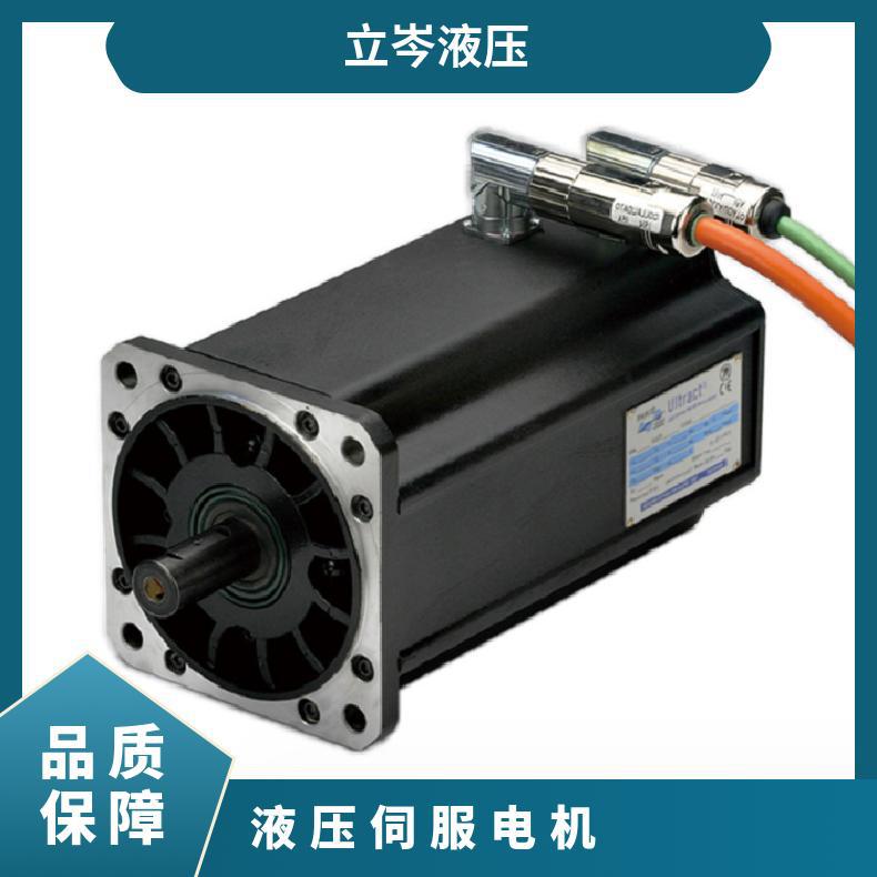 PHASE菲仕 U31005F15.3 液压伺服电机同步马达