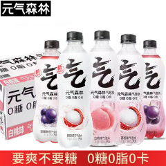 元気森白桃味ソーダ気泡水0砂糖0カード0脂480ml瓶入り元気ソーダ水箱
