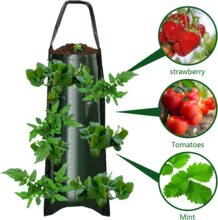 ҒʽݮѷNֲֲ Hanging Strawberry Planter Bags