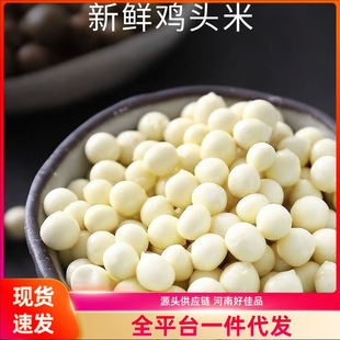 �u�^�����r�͌����b�r�����خa�͌���ȥƤ�͌����r�u�^����Ʒ����