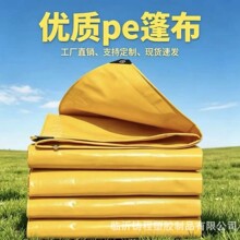 PE �p��T���� ����ϩ�����Ͳ� ؛܇������ꖌ��ò�