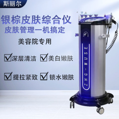 银棕皮肤综合管理仪注氧清洁补水嫩肤保湿面部清洁美容院专用家用