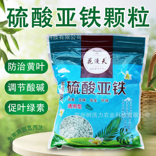 ���၆�F���Է��ϻ����B���a�F���{���������|���������S�~�S����