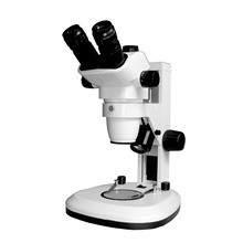 PXS6-T�wҕ�@΢�R55X���B���@ʾ����X��������,�����@΢�R