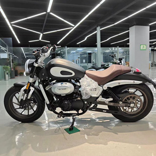 �S��ֱ����ʿ����dx250Ħ��܇ ���ˏ͹�ԽҰȼ��܇