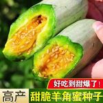 甜脆羊角蜜种子瓜酥甜瓜种子种籽苗蔬菜孑秧脆高产香瓜大全瓜四季