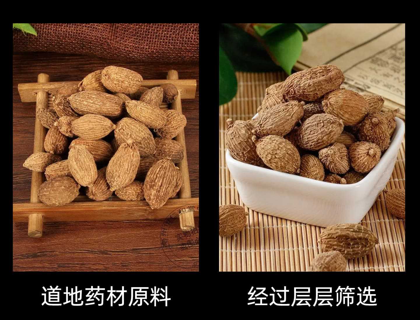 Dried Amomum Fruit Sha Ren 砂仁 Whole Pods 500g Bulk New Harvest Yunnan Guangxi Culinary TCM Herb quality and texture