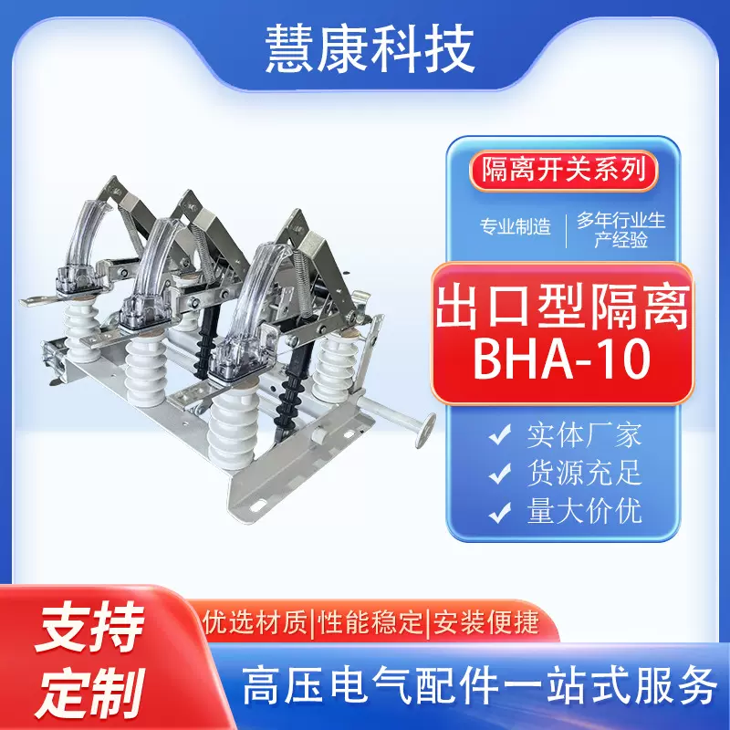 出口型高压负荷开关BHA-10/630 10kV带保险丝负荷开关室内型