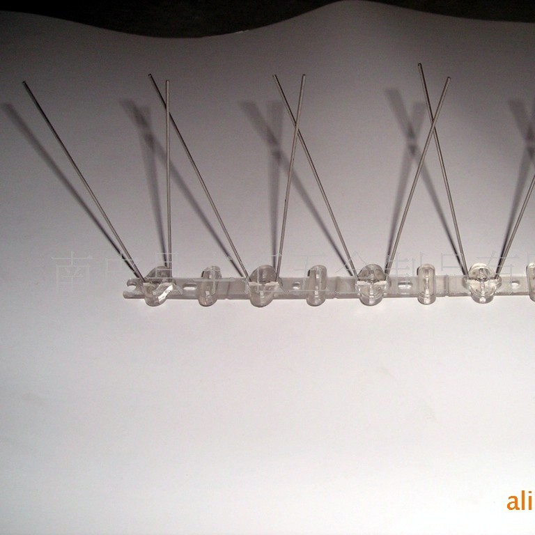 供应窗台用塑料鸟刺 建筑防鸟刺  不锈钢鸟刺 质量