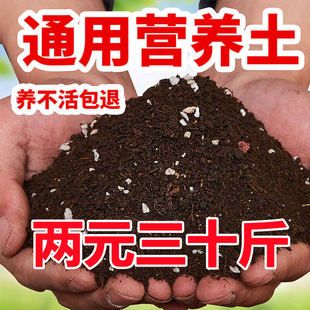 Organic Nutrient Soil, General-Purpose Vegetable Soil, Flower Soil, Vegetable Soil, Flower Planting Soil, Pothos Planting Soil