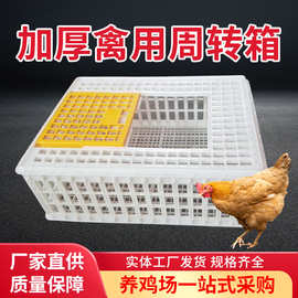 鸡笼运输笼塑料周转箱 装鸡筐鸡框子鹧鸪养殖笼 大型鸭鹅兔鸽子笼