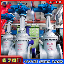 ���a���һ�wʽ늄��l�yZ941H-63C DN300�T��l�yCr13ϵ���P䓰�