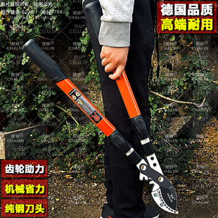 �����޼���֦�����@�ִ�̖֦��֦��������֦������֦�Q�������