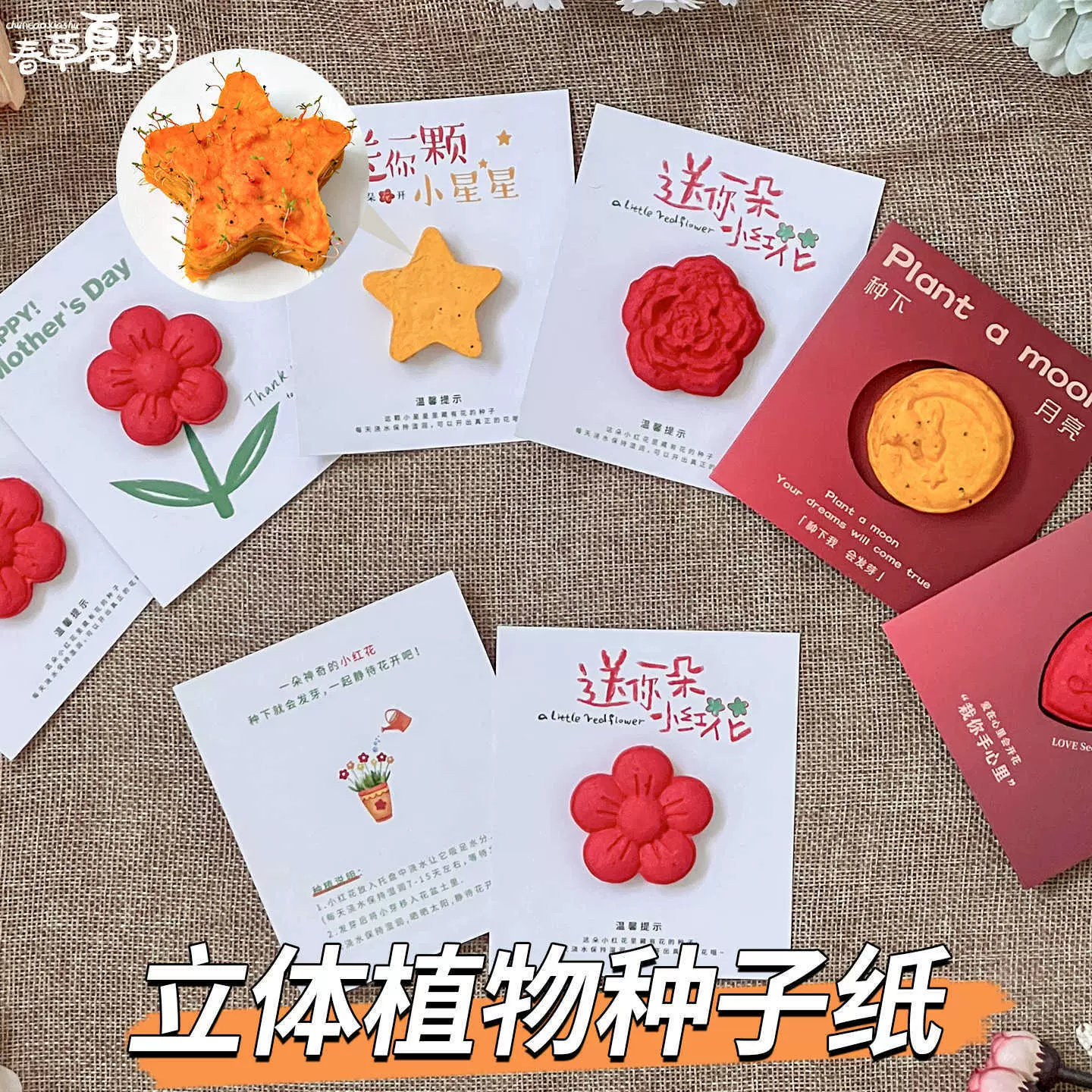 送你一朵小红花立体环保种子纸儿童可种植发芽伴手礼演唱会物料