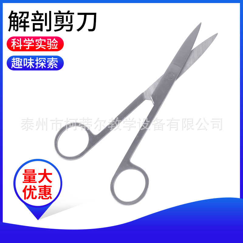 解剖剪刀生物解剖实验工具14厘米左右学生解剖工具教学仪器