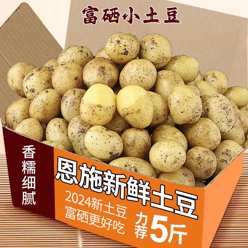 现挖恩施小土豆湖北新鲜黄心土豆10斤当季蔬菜整箱迷你马铃薯洋芋