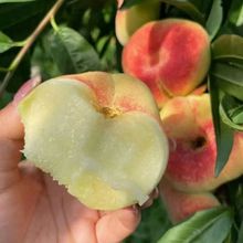 �����ĸ���¶��ë�Fժ����ë�������rˮ����������5������