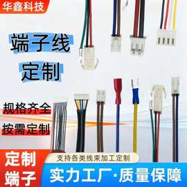 定制端子线定制1.0间距排线端子连接线加工端子线定做电子线