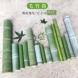 Fresh free bamboo tube natural bamboo raw material flower arrangement long bamboo tube potted large bamboo tube bamboo flowing water hollow