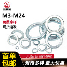 �S��ֱ�N8.8���ߏ��ȏ��|�_�ڏ��ɉ|ȦM2M2.5M36̼���{���\���|