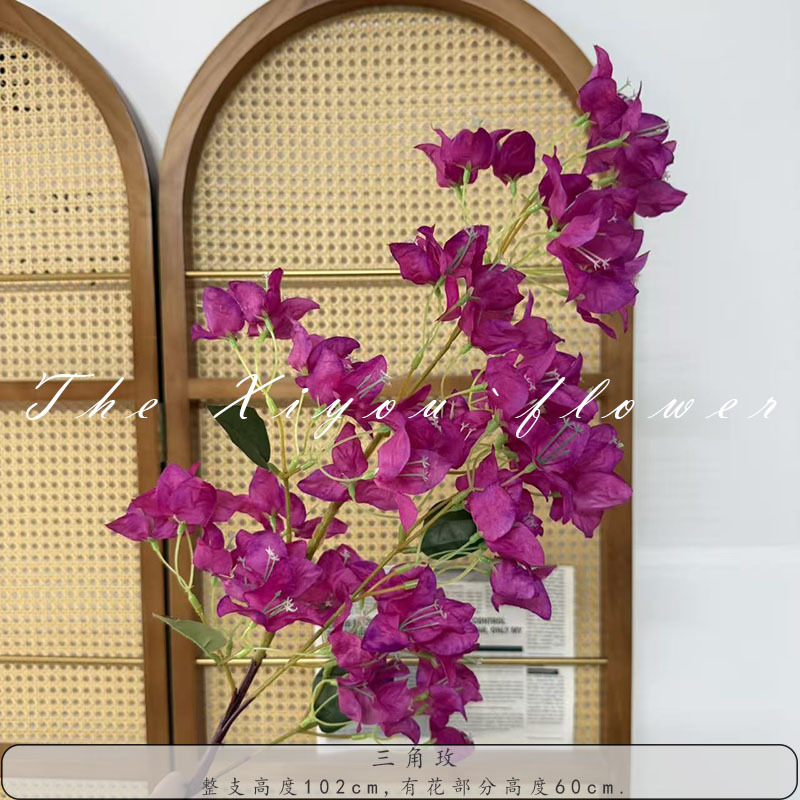 삼각형 장미-장미 보라색