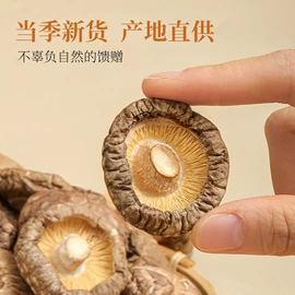 香菇;其他干货;银耳