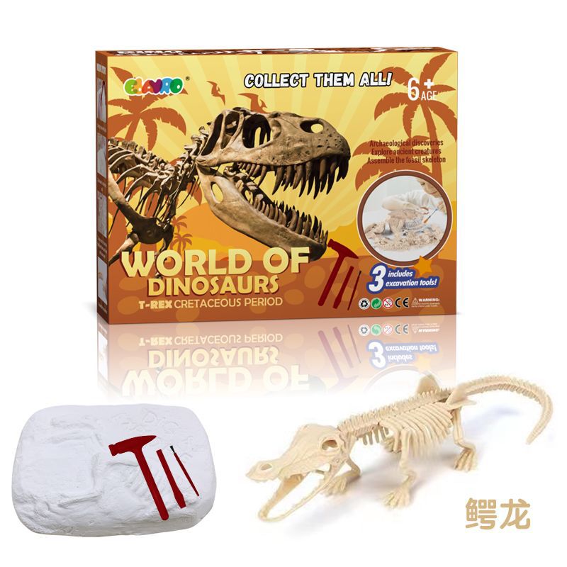 No.5 악어 드래곤 (컬러 박스)