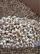 �½�ȥƤ��ɯ�� ���º��һ��Թ��خa�ɹ���ʳĥ���{