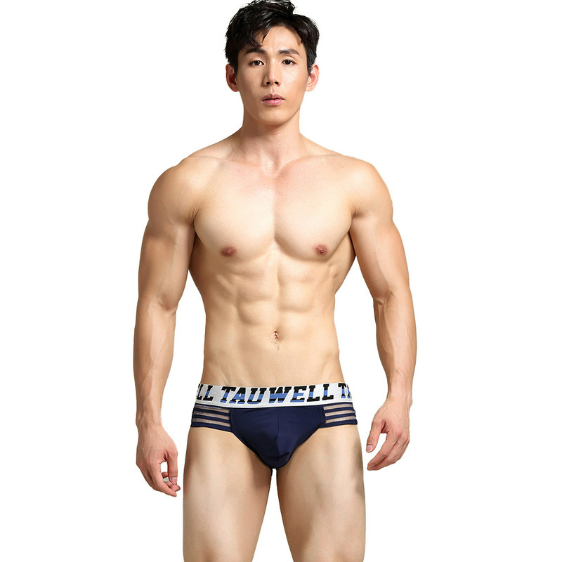 Tauwell2023 New Sexy Men's Briefs, Charming and Fashionable Nylon Close-Fitting Low-Waist Sexy Underwear for Men Tauwell2023 New Sexy Men's Briefs, Charming and Fashionable Nylon Close-Fitting Low-Waist Sexy Underwear for Men