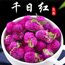 千日红 500g包邮千日紫 新货千日紫干花泡水另有红巧梅花草茶批发
