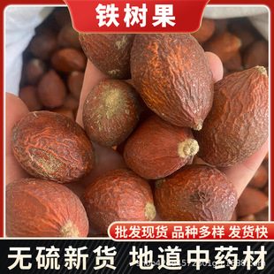 ��ș�����l �F��� �P�˵� ��؛�o�� ֧�֙z�y ����r��