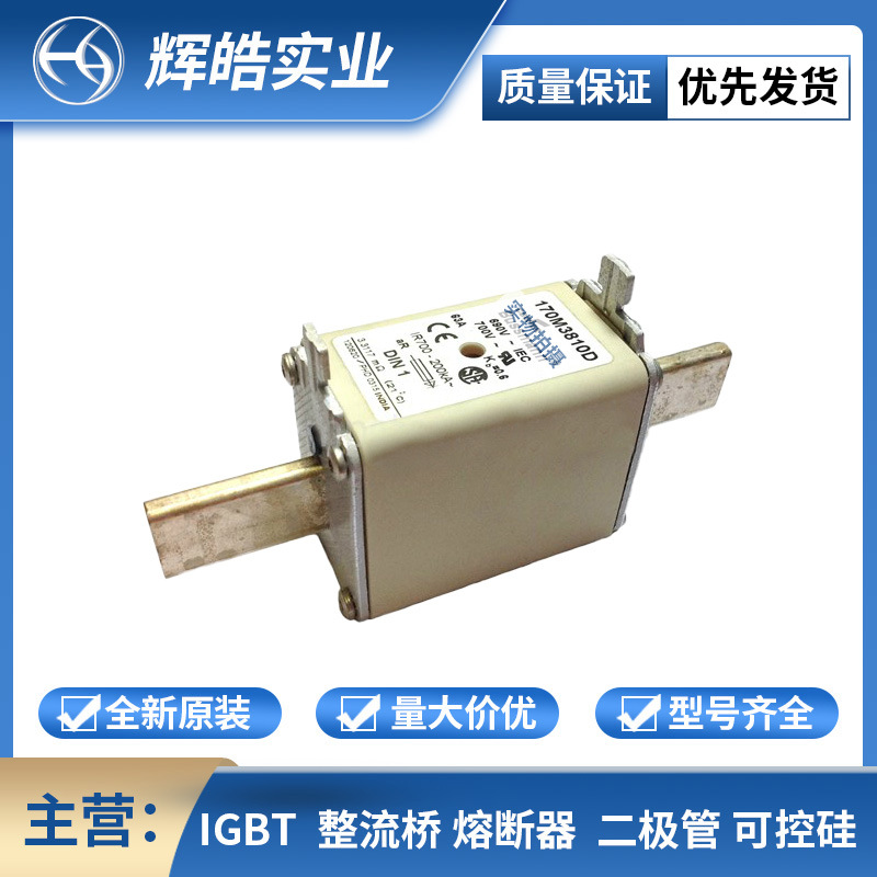 170M3810D 170M3811D  低压快速熔断器 全新原装 电子元器件