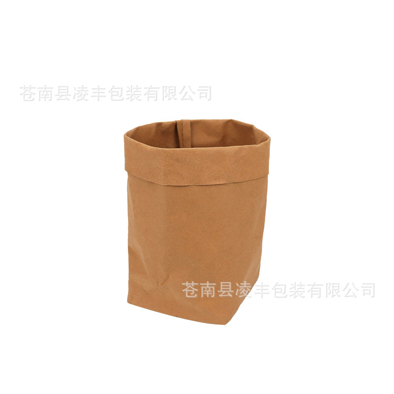 杜邦纸水洗纸袋定 制撕不烂牛皮纸袋北欧环保居家水果植物收纳袋