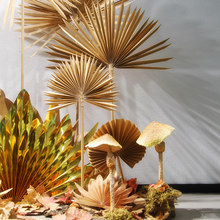 �＾����չʾĢ�����ә����b�Ů�bͯ�b�����ꐵ���