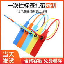 厂家直供铅封一次性塑料封条物流封签防伪防盗防调包扣施封锁28cm