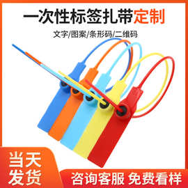 厂家直供铅封一次性塑料封条物流封签防伪防盗防调包扣施封锁28cm