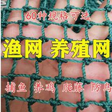 尼龙网防鸟网天网爬藤网青蛙牛蛙泥鳅养殖网鸡网渔网布网护栏围网