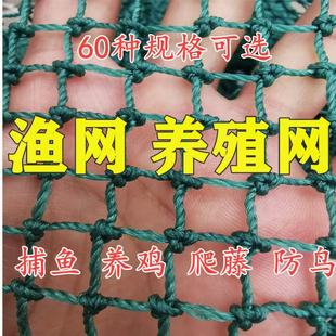 �����W���B�W���پW����ţ�����q�Bֳ�W�u�W�O�W���W�o�ڇ��W�O�W