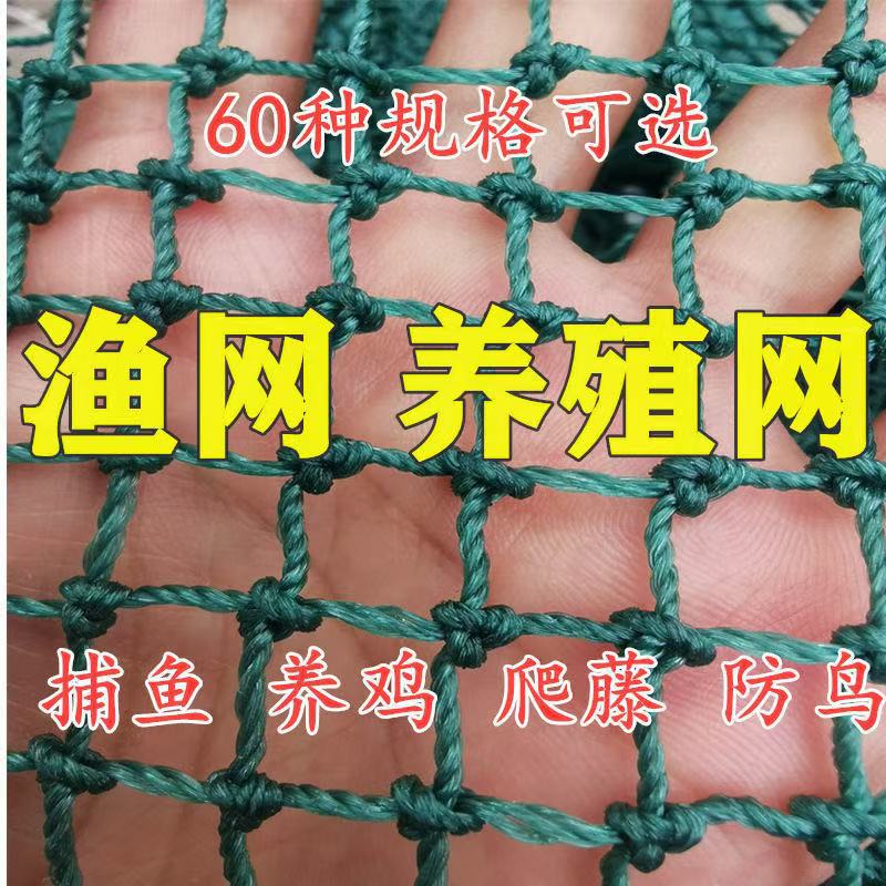 尼龙网防鸟网天网爬藤网青蛙牛蛙泥鳅养殖网鸡网渔网布网护栏围网