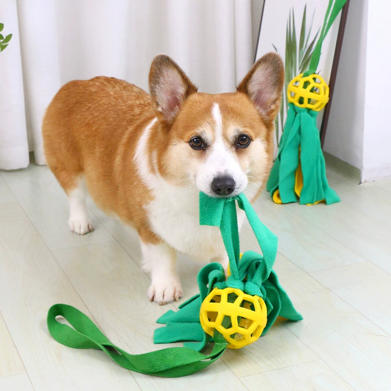Домашняя собака собака игрушка с узлами, устойчив к укусу и звуку